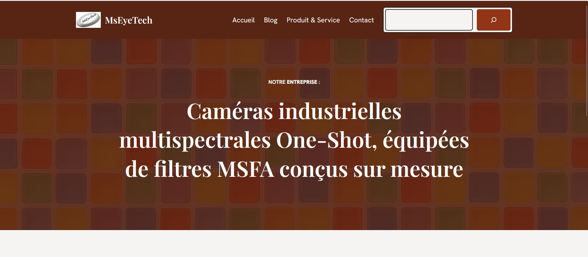 MSEyeTech - Page d'accueil